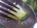 Espadon aux courgettes à la noix de coco - 10.2