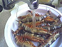 Feuilleté de saint-Jacques et de gambas - 3.1