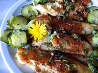 Poissons : Filets de merlan aux câpres et courgettes