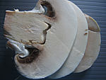 Champignons au muscat - 3.2