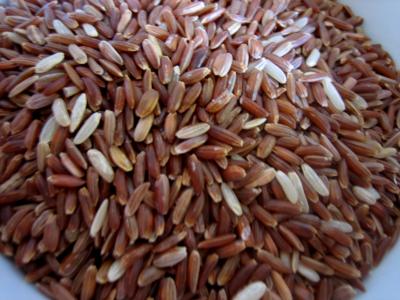 Image : riz