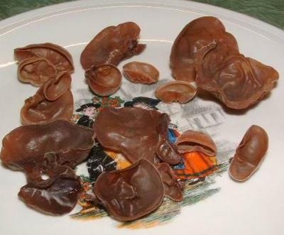 champignons noirs