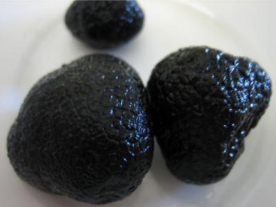 Truffes noires du Périgord