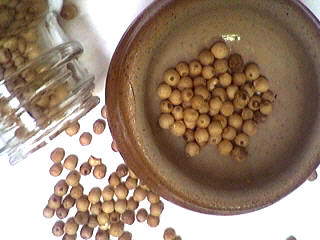 graines de coriandre