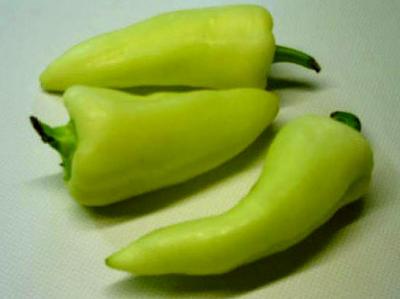 Photo : Paprika