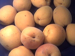 Photo : Etalage d'abricots