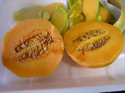 Image : Melon