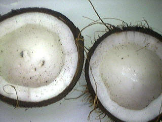 cassons la noix de coco