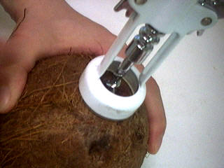 percer la noix de coco