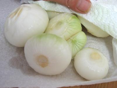 les oignons