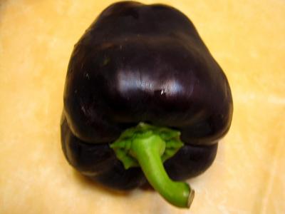 poivron
