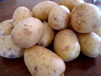 Image : Pommes de terre "Agata"