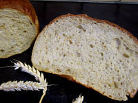 Image : Pain de gluten
