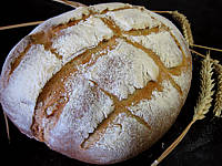 Image : recette Pain de campagne à pâte fermentée