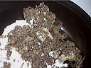 Tartines au chèvre - 1.1