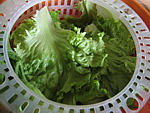 Salade de thon et poivrons - 1.3