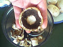 Champignons farcis - 4.2