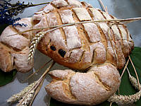 farine type 65 : Pain blanc et son crabe