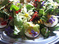 primevère : Assiette de violettes et primevères en salade