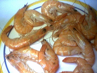 Image : Crevettes