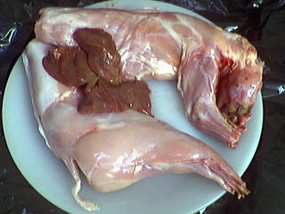 lapin