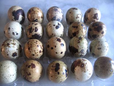 Photo : Oeuf