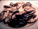 Image : recette Moules à la crème