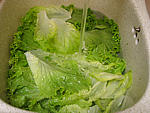 Salade Landaise aux rillettes - 1.1
