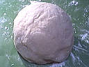 Quenelles aux abricots - 8.1