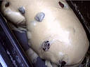 raisins secs