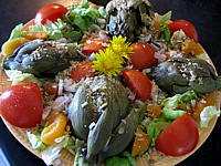 Salade d'artichaut