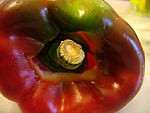 Tomates farcies aux fromages - 1.1