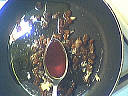 Vinaigrette aigre-douce - 5.2