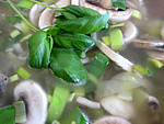 Soupe de champignons et pommes de terre - 12.1