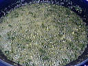 Roussette aux fines herbes - 4.2