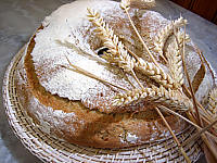Image : Pain en couronne à la poolish