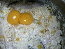 Riz au lait aux abricots - 6.2