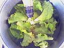 Salade tiède de rognon - 8.1