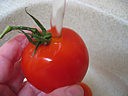 Ketchup au basilic - 1.1
