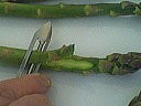 Poulet aux asperges en salade - 1.1