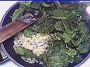 Lasagnes aux épinards - 6.1