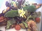 entrée à base de coquillages et crustacés : Salade tiède de moules aux primevères
