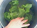 Salade de fenouil au roquefort - 6.2