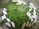 Haricots vert rafraîchis