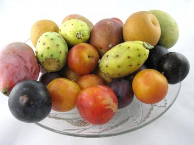 Image : Nutriments