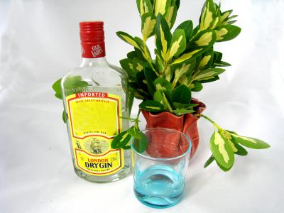 Photo : bouteille de gin