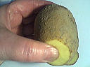 Image : Tourner