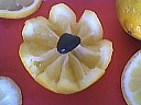 historier un citron