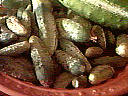 Cornichons