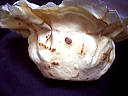 coupe terminée